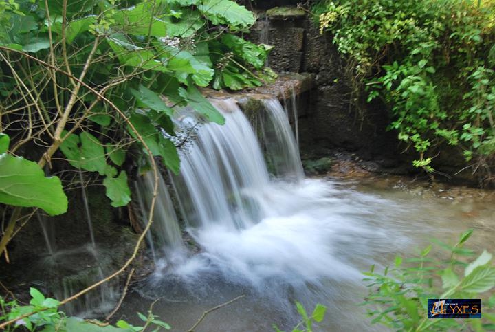 acqua del sambuco.JPG